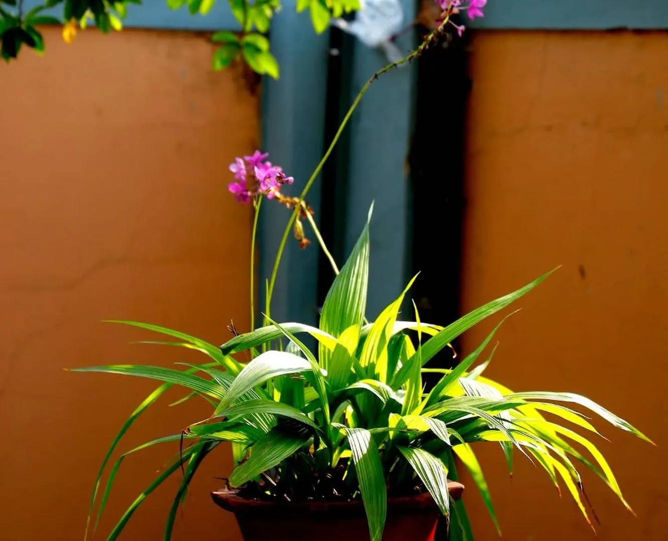 Hébergement de vacances Alleppey Haven Homestay Near Backwaters Alappuzha